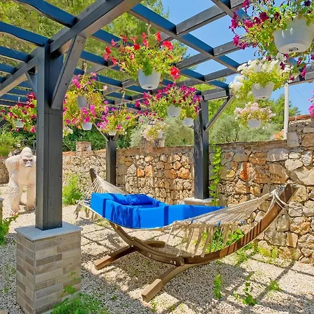 Xclusive * Uzumlu (Aegean)